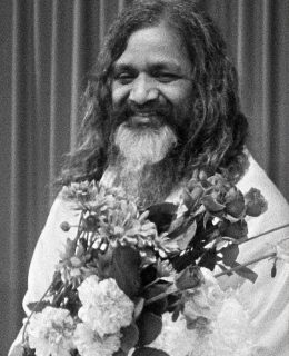 maharishi